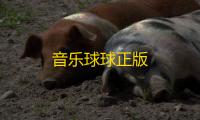 音乐球球正版